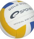 GOLD-DUST-BLYE-BALLON-de-Volley-ball-0