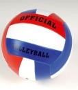Volleyball-Trainingsball-0