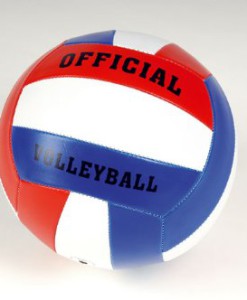 Volleyball-Trainingsball-0