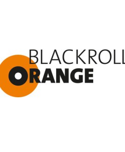 Blackroll-Orange-Das-Original-DIE-Selbstmassagerolle-Pilates-Set-inkl-bungs-DVD-und-bungsposter-0-0