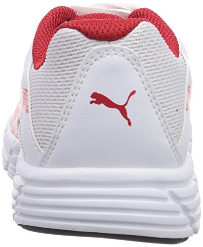 Sportartikel, Sportbekleidung & Sportschuhe