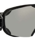 ALPINA-Pheos-MM-SkibrilleSnowboardbrille-Modell-2016-0
