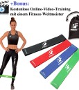 PrimaFit-Fitnessbnder-Set-4-Gymnastikbander-Loops-fur-Yoga-Pilates-Crossfit-Widerstandsbander-Trainingsbander-Muskelaufbau-Rehabilitation-Krankengymnastik-Fitnessband-Gummi-Online-Videotraining-0