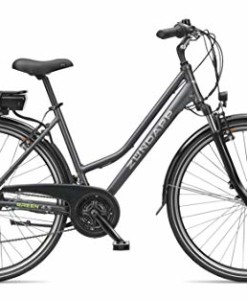 ZNDAPP-E-Bike-Damen-Elektrofahrrad-Alu-mit-21-Gang-Shimano-Kettenschaltung-Pedelec-Citybike-leicht-250W-und-10Ah-36V-Lithium-Ionen-Akku-Green-45-0